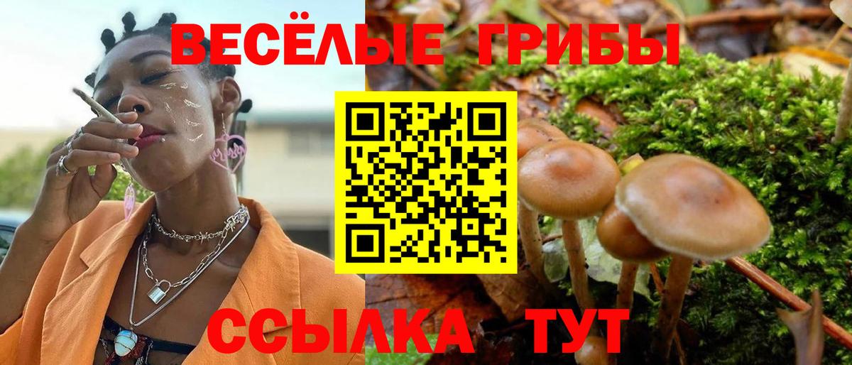 Истра  Псилоцибиновые грибы Magic Shrooms  Вход с VPN 
