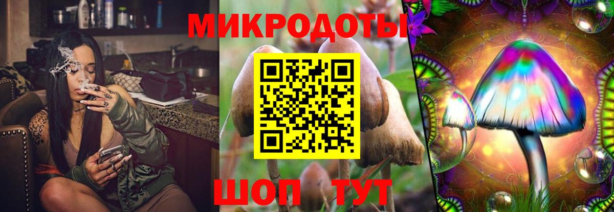 Галлюциногенные грибы GOLDEN TEACHER Истра